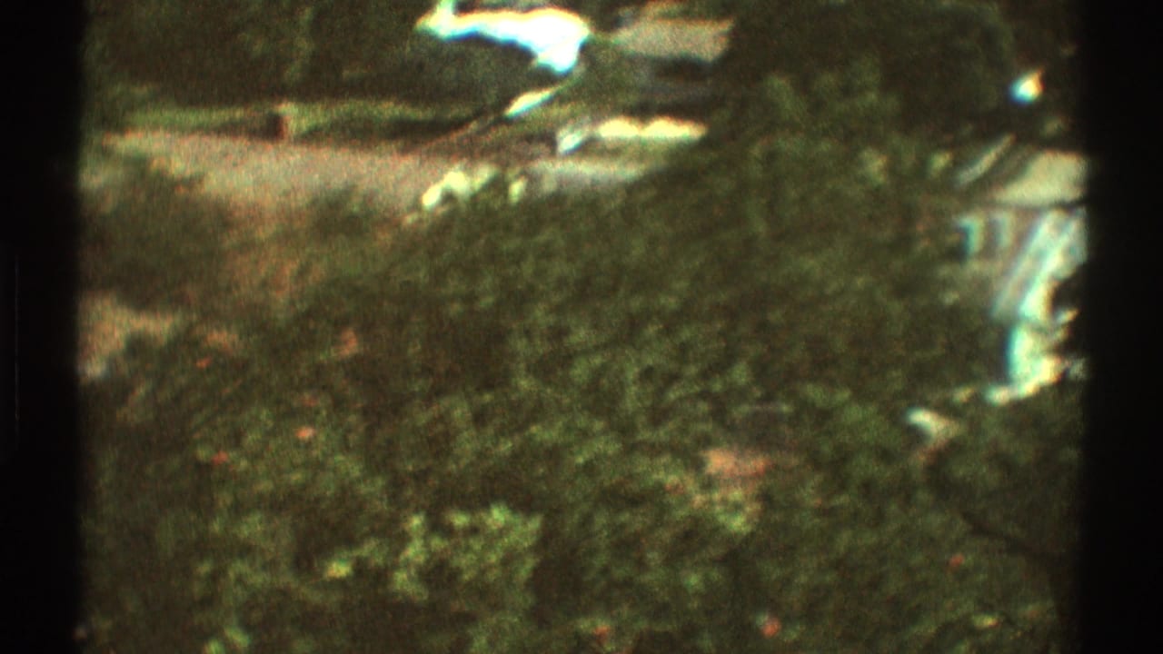 Elevated view over dense trees and shrubs with pale structures partly visible through foliage.
