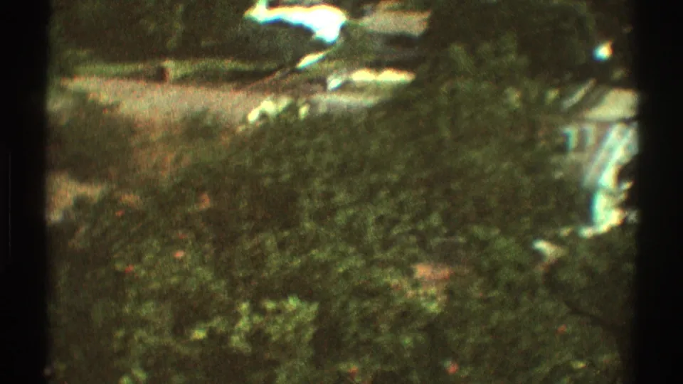 1969 Los Angeles 8mm frame looking down over dense residential greenery with pale rooftops or paving glimpsed beyond the trees.