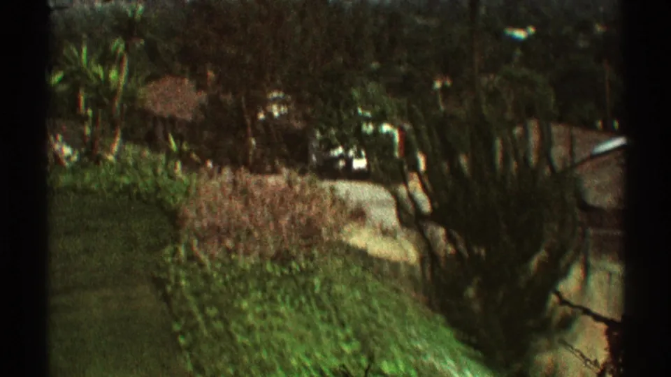 1969 Los Angeles 8mm frame looking down through trees toward shrubs, lawn, and a pale path or driveway in a residential landscape.