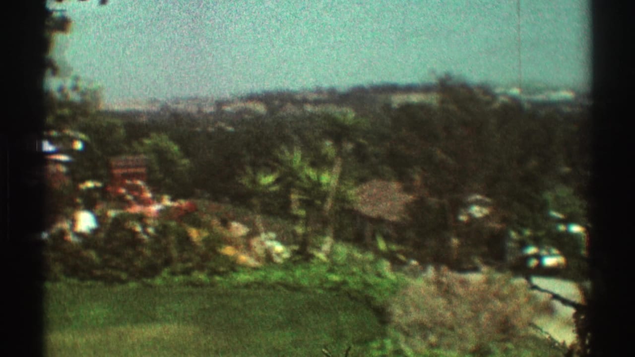 Soft 8mm view of hillside houses, trees, palms, and a road with a car.