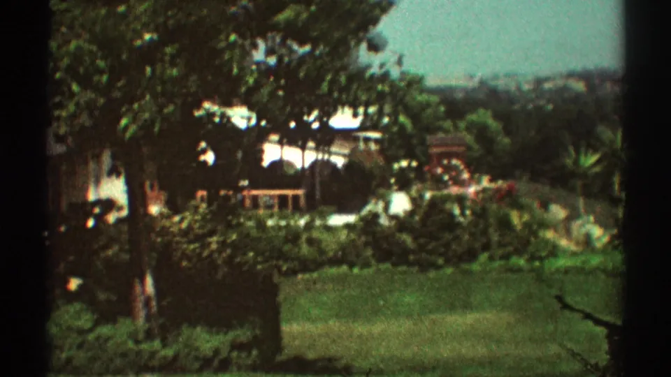 1969 Los Angeles suburban frame with a house, lawn, large tree canopy, hedges, palms, and bright sky.