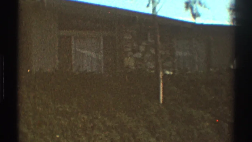 Soft 8mm Los Angeles residential frame showing a house wall, windows, roofline, grass, and foreground plants.
