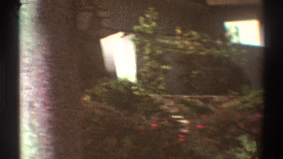 Late-1960s Los Angeles frame showing a shadowed residential yard with shrubs, a wall, tree cover, and a bright building edge.