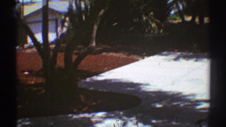 1969 Los Angeles backyard frame showing a pale concrete patio, tree shadows, plants, and red ground cover near a fence.