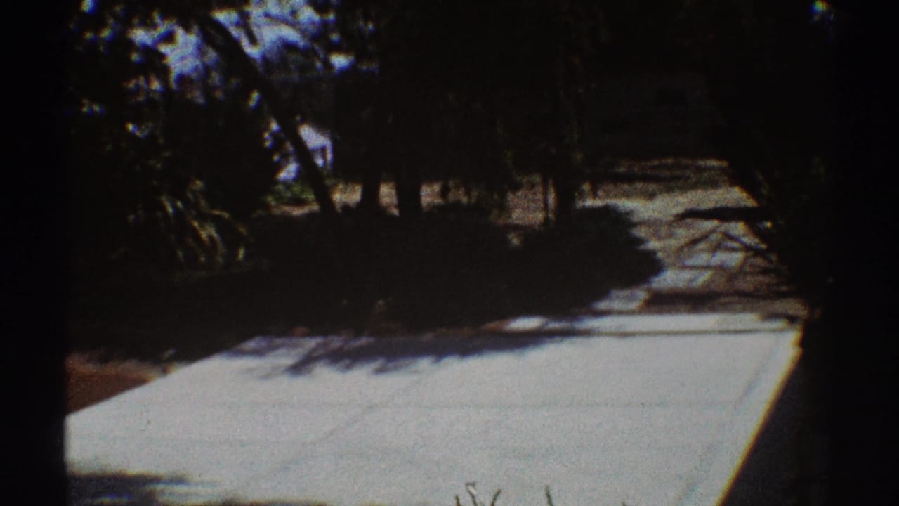1969 Los Angeles 8mm frame showing a bright pale outdoor surface with dark tree shade, shrubs, and planted yard edges.