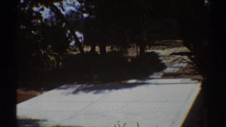 1969 Los Angeles 8mm frame showing a bright pale outdoor surface with dark tree shade, shrubs, and planted yard edges.