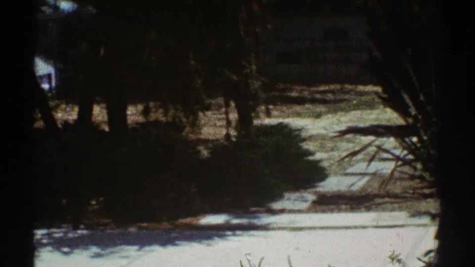 1969 Los Angeles home-movie frame with a pale paved or stone surface, low shrubs, tree trunks, and strong midday shadows.