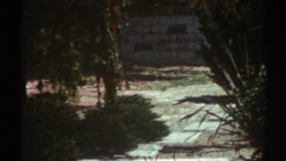 1969 Los Angeles 8mm frame showing leafy shrubs, branch shadows, a pale ground strip, and a darker stone or block surface beyond.