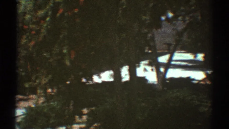 1969 Los Angeles home-movie frame with dense tree shade, layered foliage, and bright pale exterior surfaces partly visible through branches.
