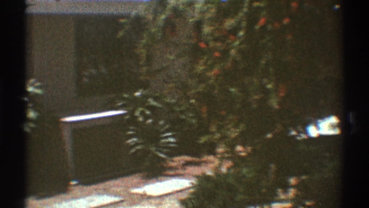 1969 Los Angeles 8mm frame showing a sunlit backyard with plants, stepping stones, and a small wall-mounted unit.