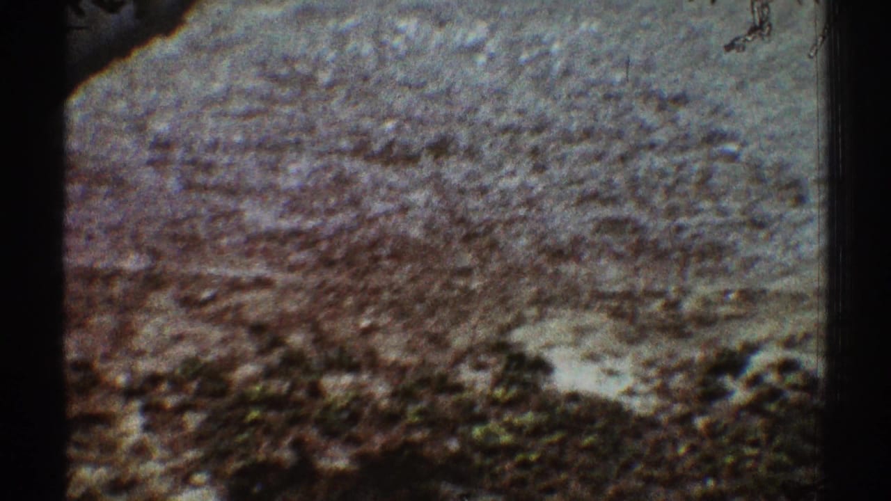 Close view of sunlit gravel ground with dark film edges.