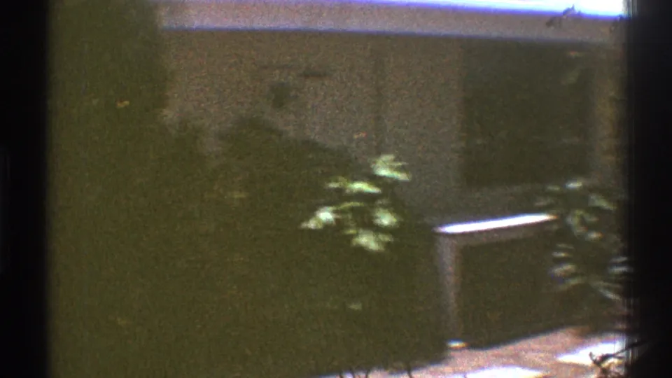 The final frame shows the residential exterior through soft 8mm exposure, with shrubs, wall, driveway, and bright pavement.