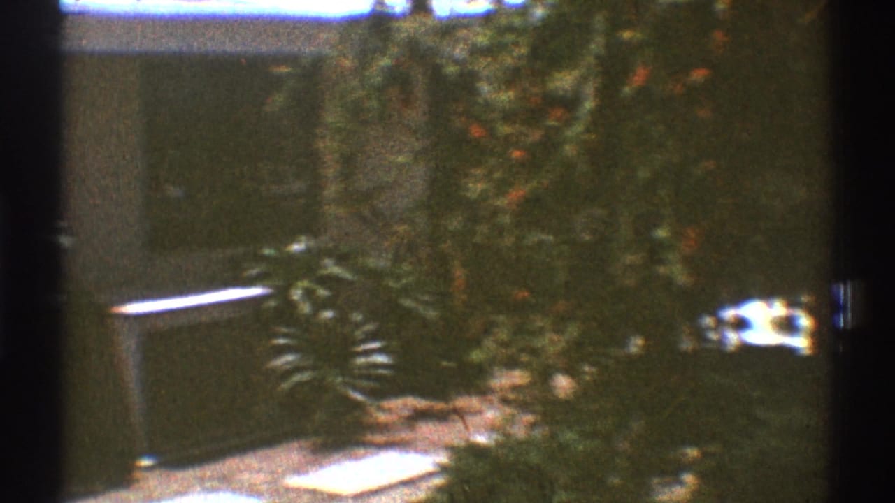 Soft 8mm view of shrubs, a sidewalk edge, and bright yard areas seen through dark frame borders.