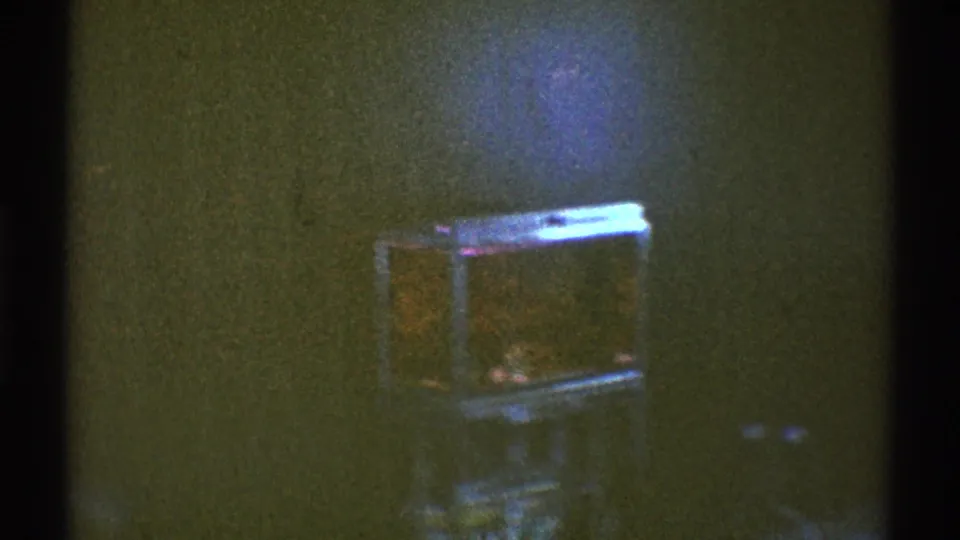 1969 Los Angeles home interior showing a small fish tank or TV-like object near a dim wall, with heavy grain and low light.