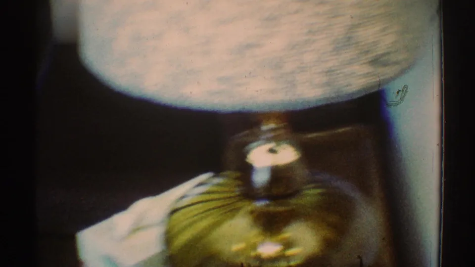 1969 Los Angeles home interior detail showing a textured lamp shade and glossy lamp base near the curved table.