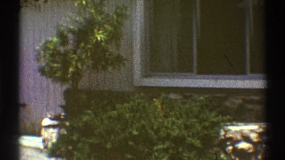 1969 Los Angeles residential exterior showing a window, shrub beside the wall, stone base, and yard foliage in soft 8mm color.