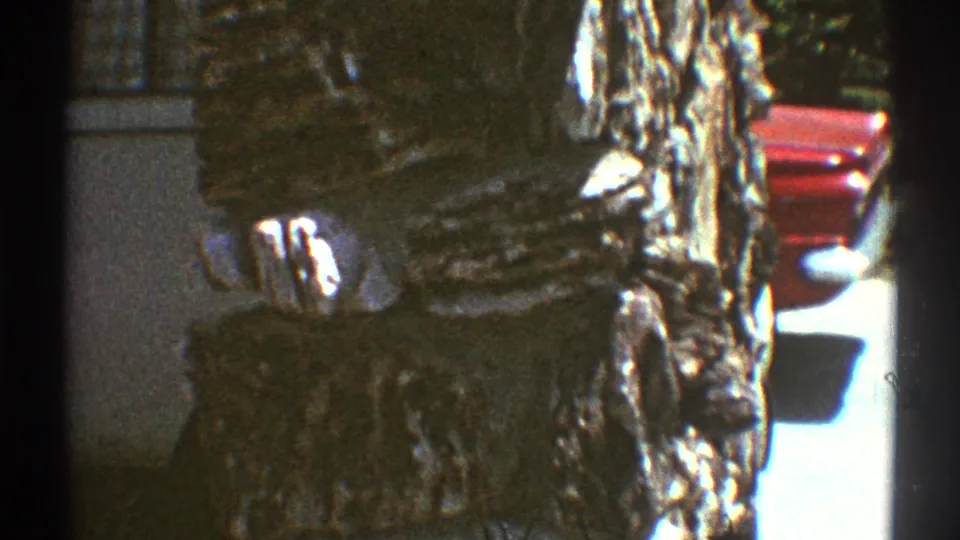 1969 Los Angeles 8mm frame with tree bark, shrubs, residential exterior, and a partial red car at the edge.