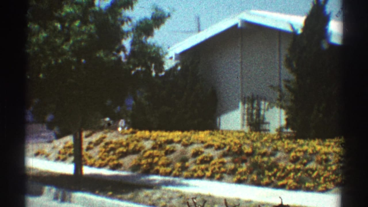 1969 Los Angeles 8mm frame showing a pale suburban house above a slope of yellow flowers with sidewalk and trees in view.