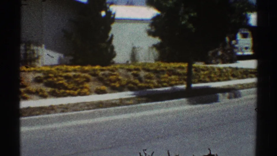 1969 Los Angeles frame with a landscaped yard, curbside street, tree, and the light blue van partly visible at right.