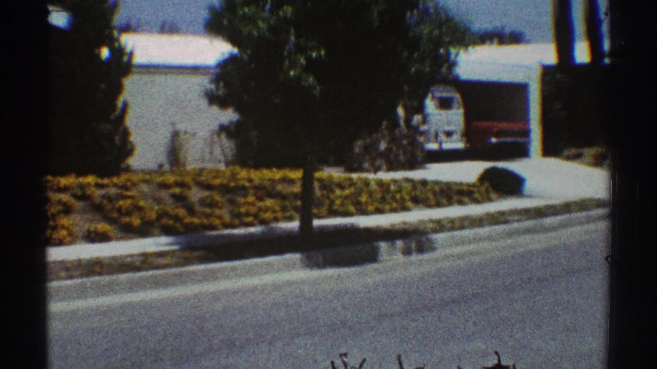 Suburban street with curbside yellow flowers, trees, a driveway, and a white van under a carport.