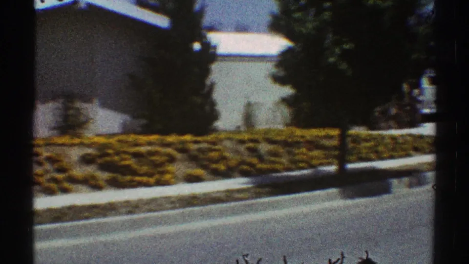 1969 Los Angeles frame with a low residential building, yellow curbside planting, shrubs, trees, and an empty suburban roadway.