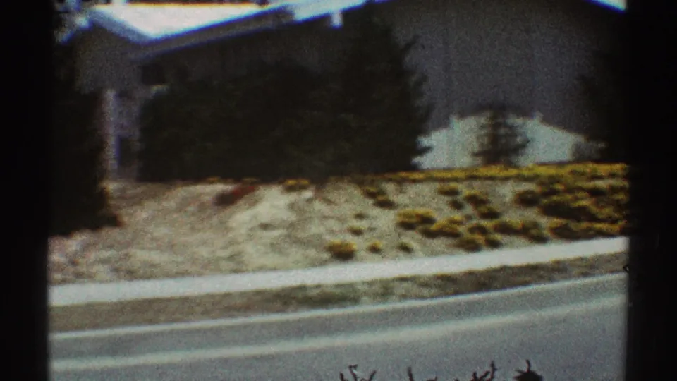 Soft 1969 Los Angeles home-movie frame showing a curbside flower bed, residential wall, shrubs, trees, and a quiet street.