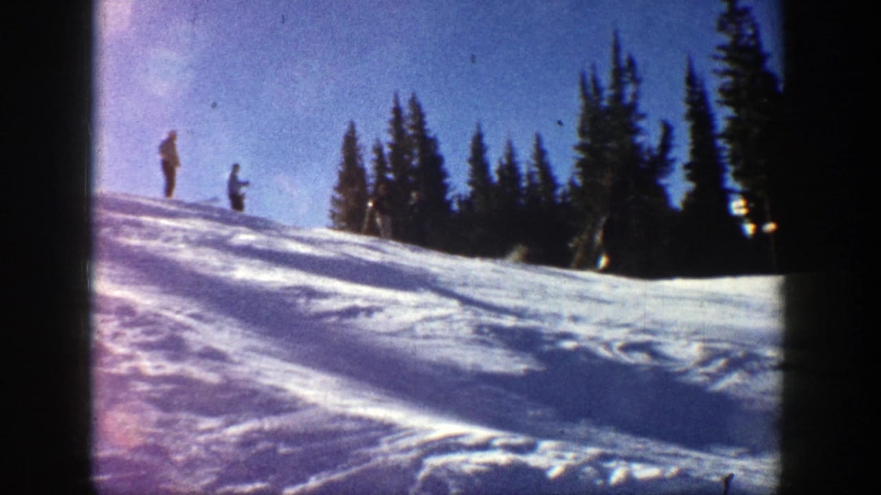 Two skiers stand near the top of a snowy slope beside evergreen trees.