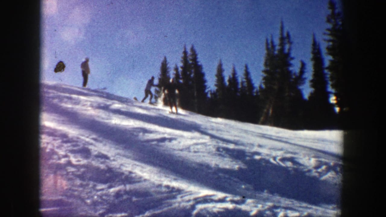 A small group of skiers gathers near the top of a snowy incline beside evergreen trees.