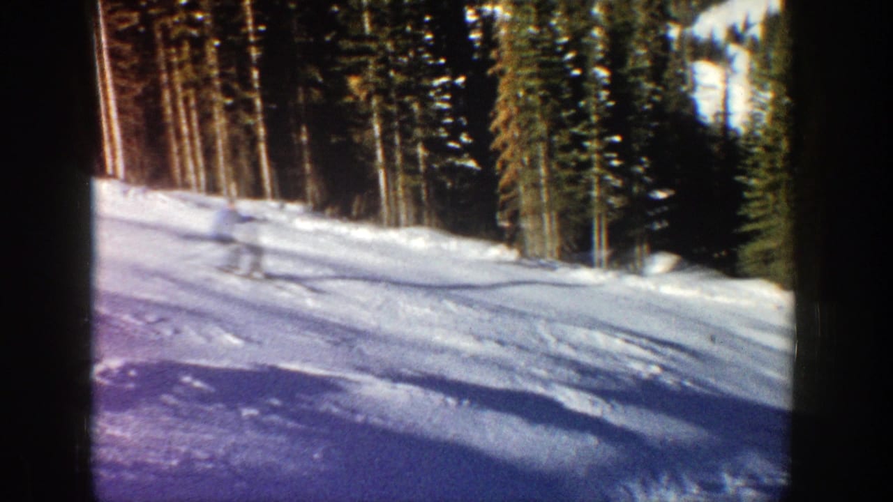 Snowy ski slope bordered by evergreen trees with tracks and long shadows.