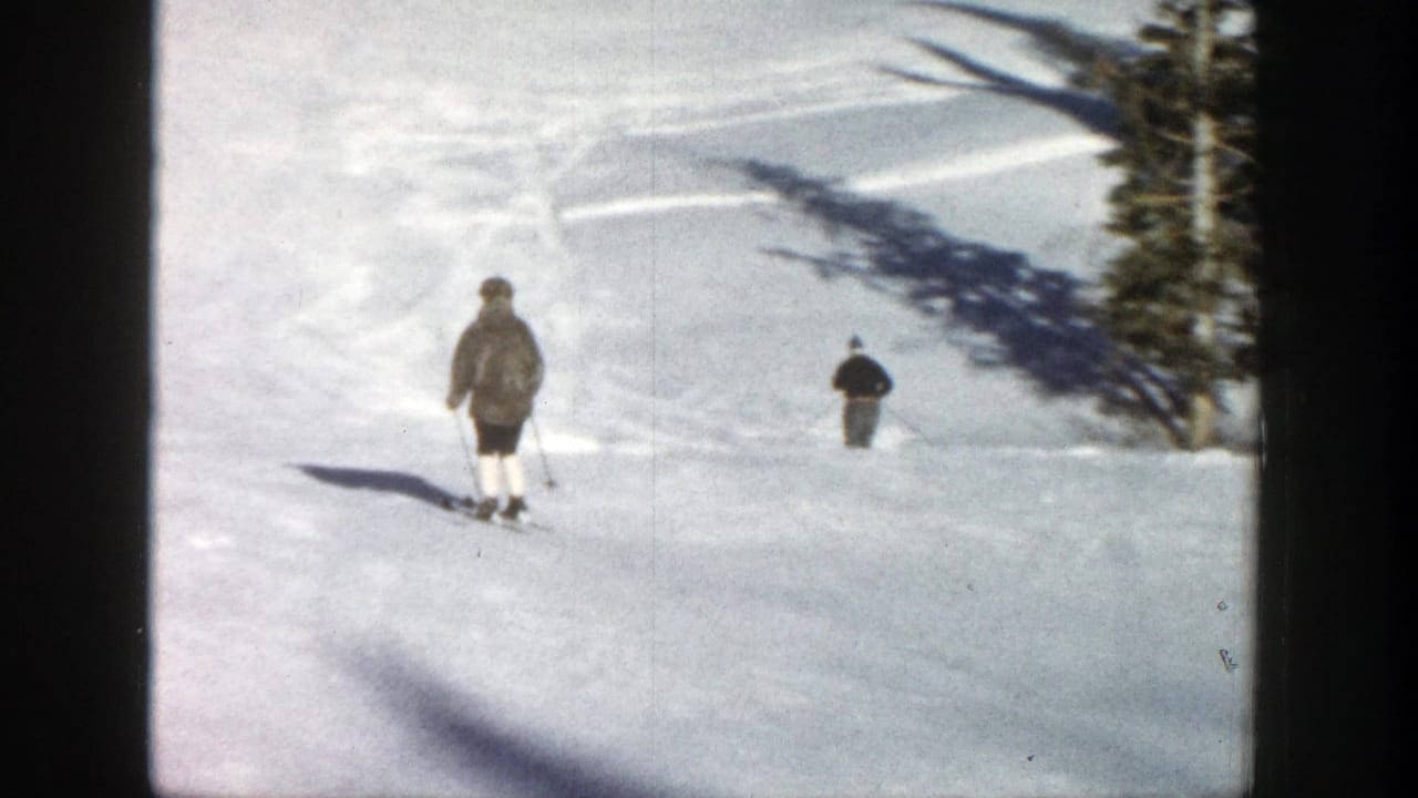 Two skiers travel downhill on a wide snowy run with trees at the side.