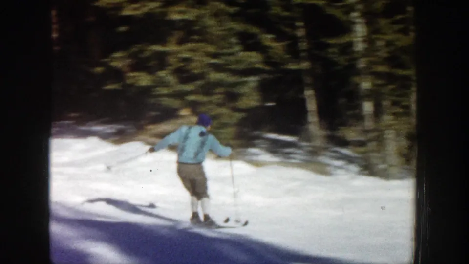 Adult skier in a light blue jacket skis away from the camera through a snowy wooded Aspen slope.