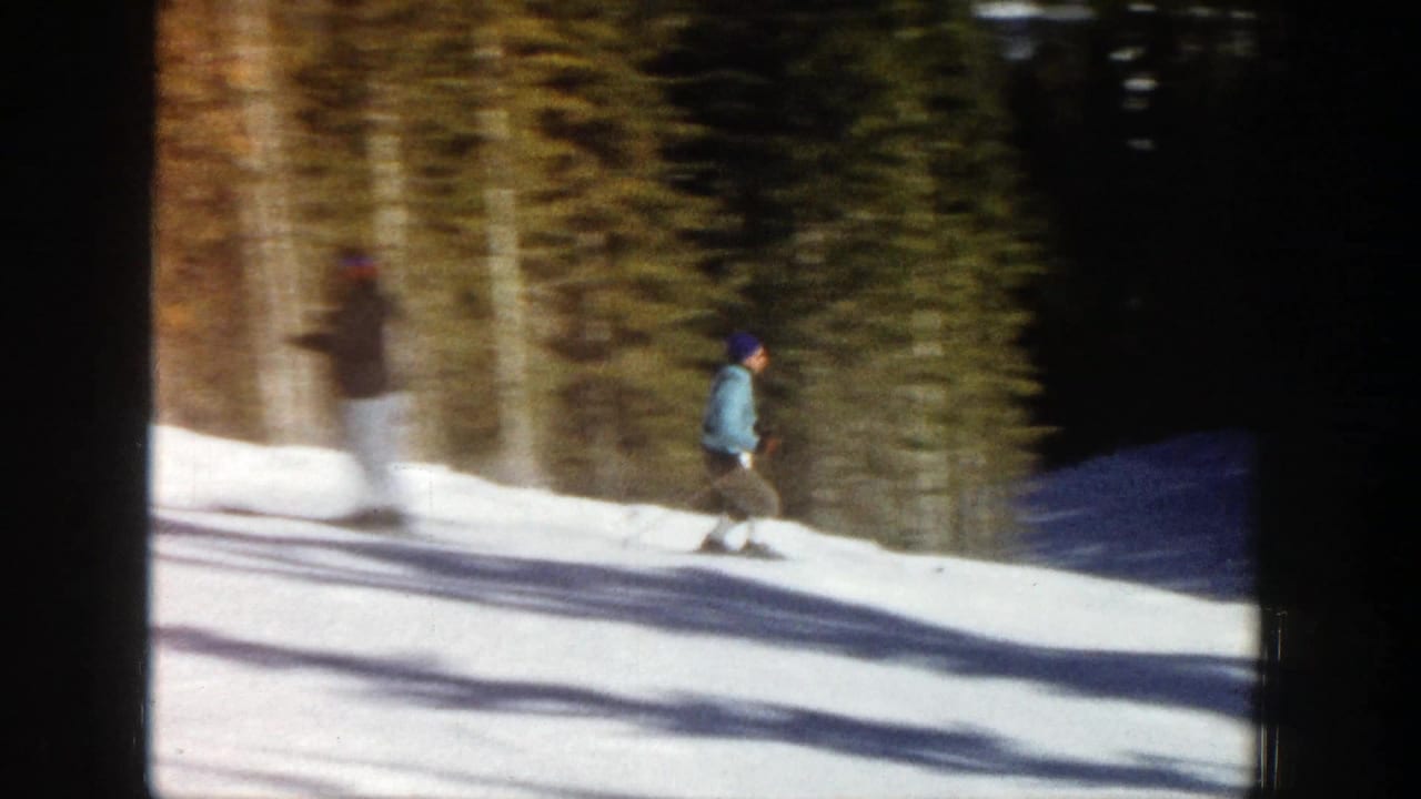 A skier travels along a bright snowy trail with forest trees in the background.