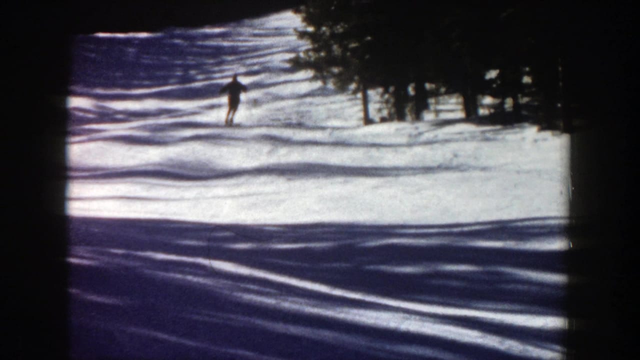Distant skier on a snowy slope bordered by evergreen trees and long shadows.