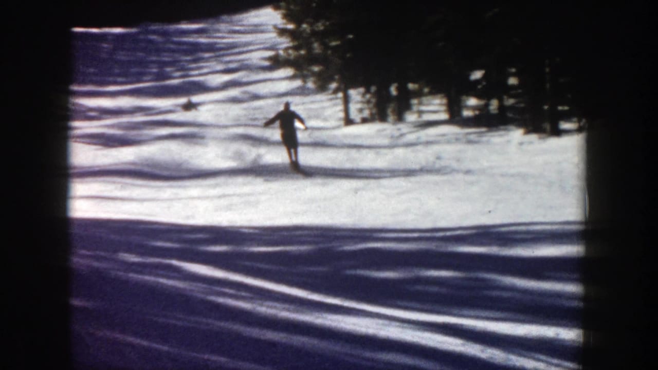 Skier approaches down a bright snow slope with evergreens in the background.