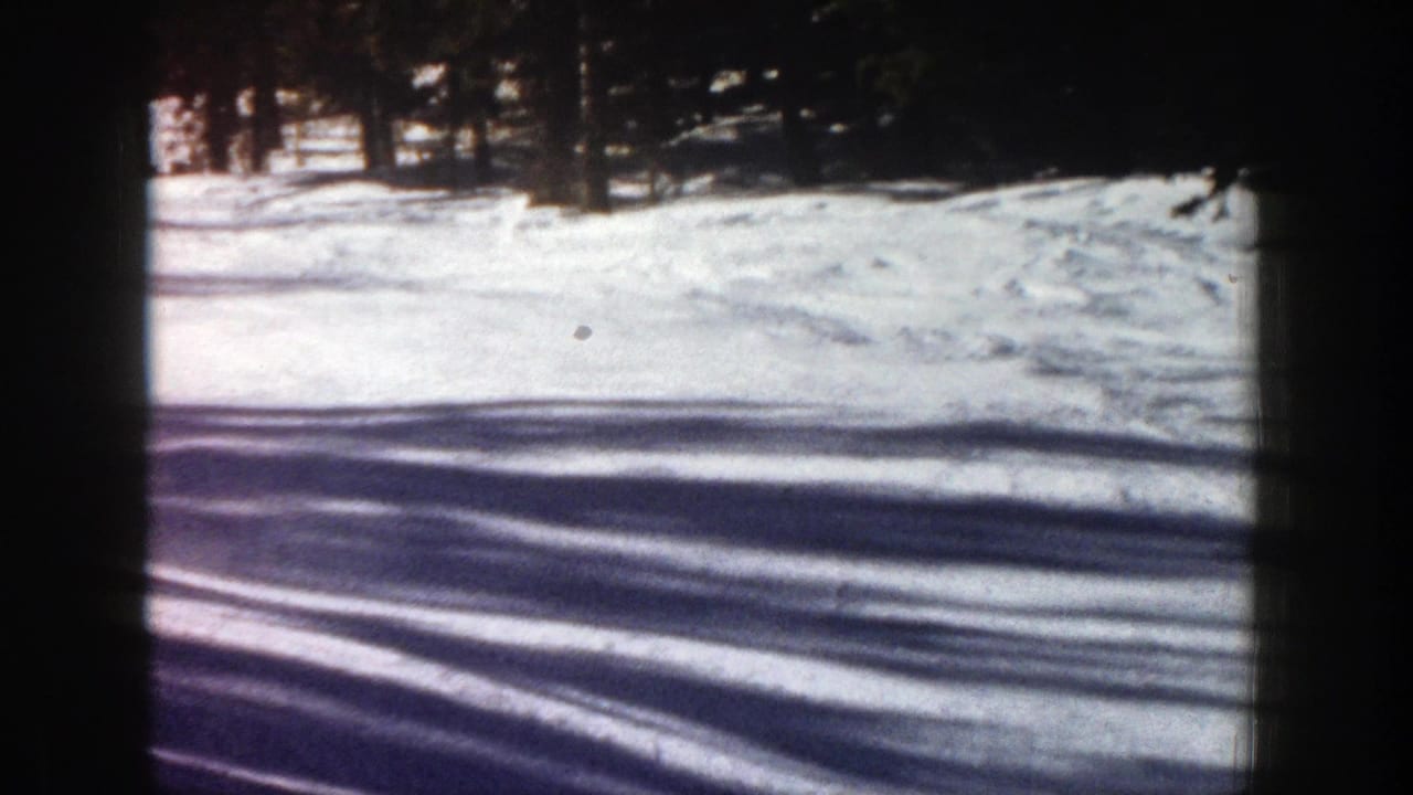 Snowy ski slope with dark trees and long shadows, with no clear skier centered.