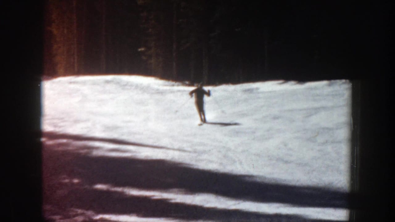 Distant skier crossing a sunlit snowfield below dark trees.