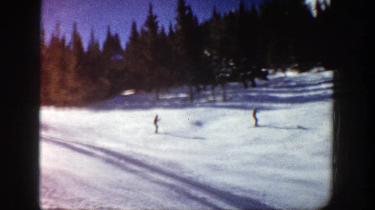Distant skier on a snowy hillside with evergreen trees and strong shadows.