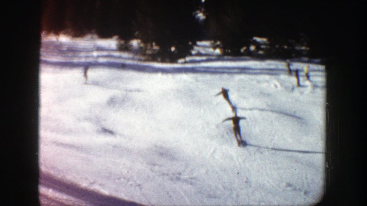 Skiers move across a bright snowy slope with dark trees along the upper edge.