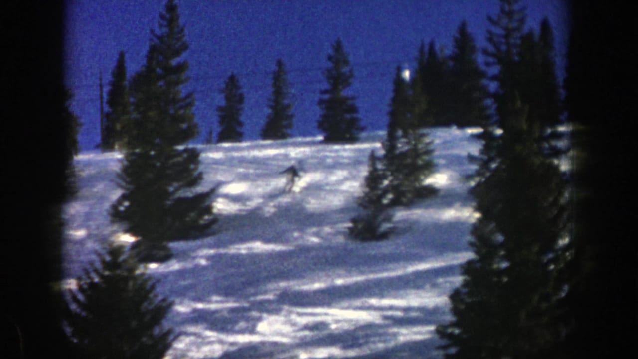 Lone skier on a snowy slope between evergreen trees under a blue sky.