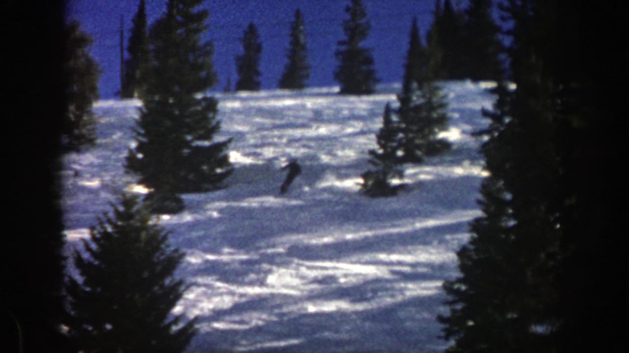 Skier descending a snowy slope between dark pine trees.