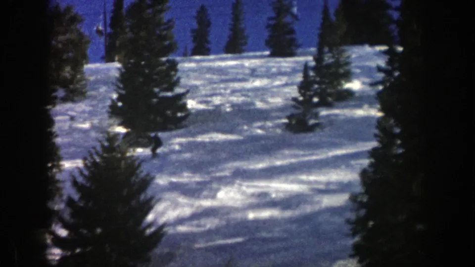 The skier descends lower across the bright snow while foreground pine trees partially obscure the view in Aspen, Colorado.