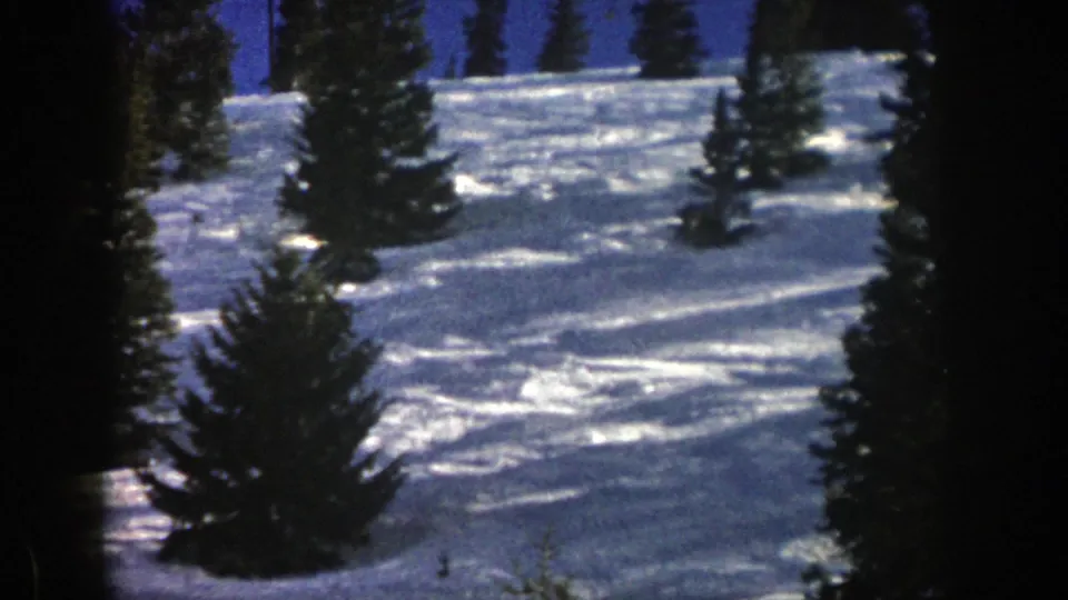 The skier nears the lower part of the snowy Aspen slope, with pines and bright snow texture filling the frame.