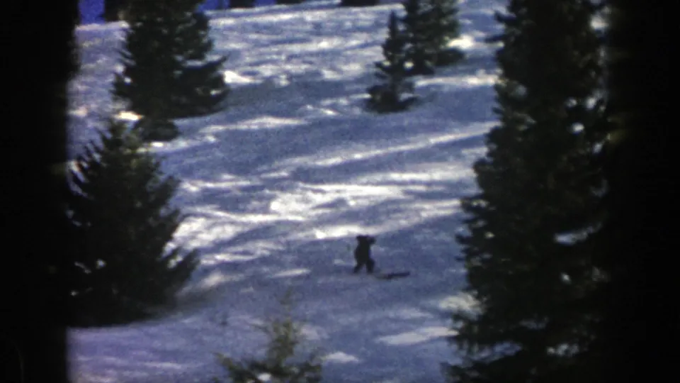A distant skier reaches the lower part of the Aspen snow slope, surrounded by evergreen trees and visible ski tracks.