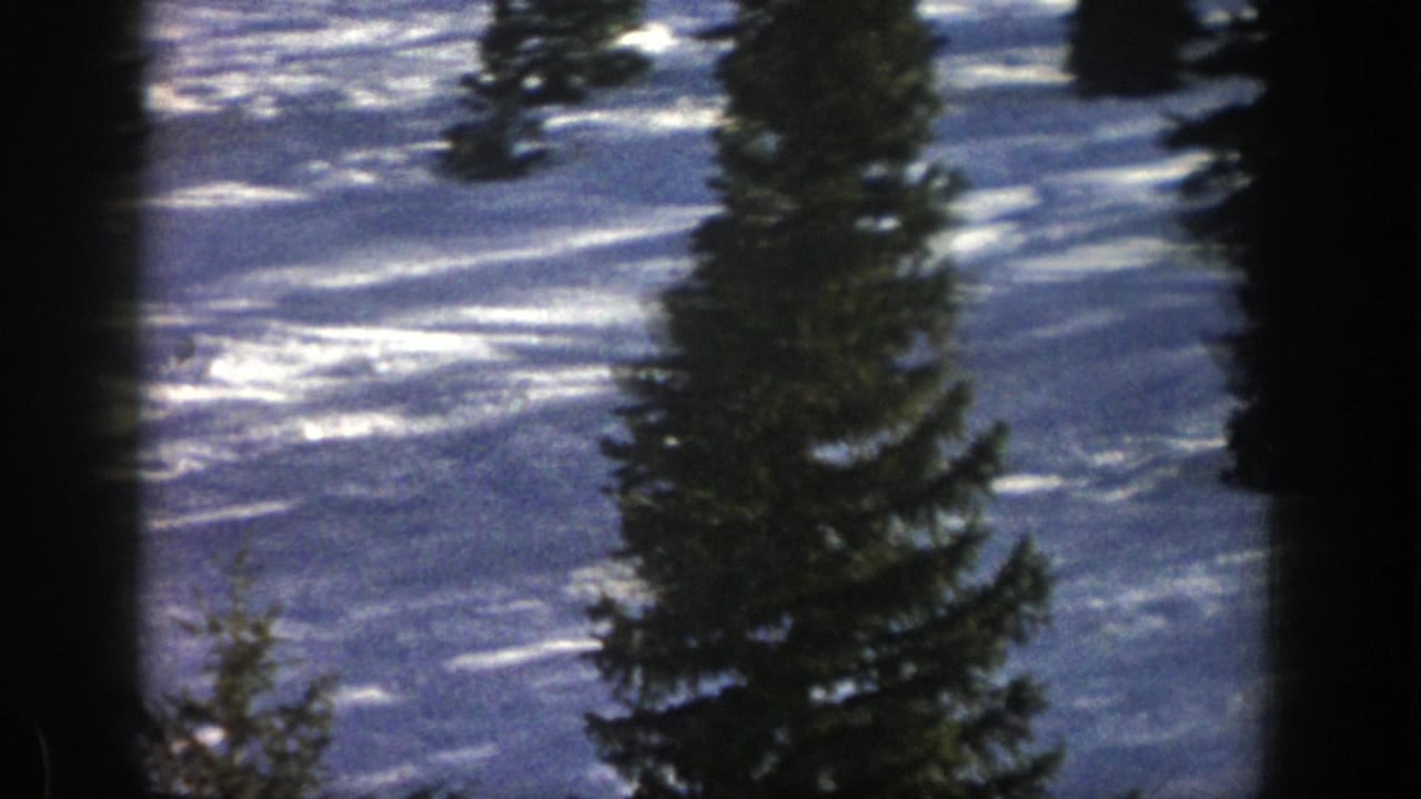Snowy mountain slope with evergreen trees and dark film-frame edges.