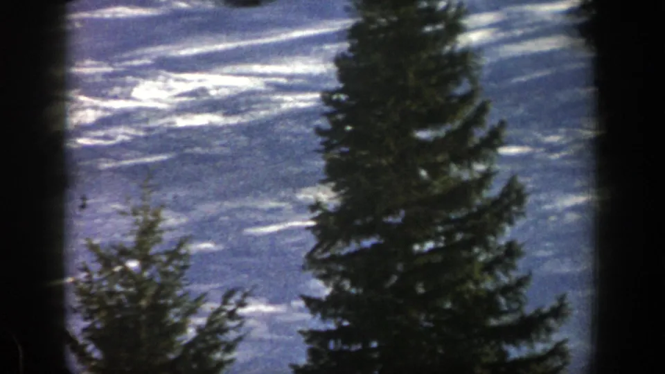 1961 Aspen home-movie frame showing the snowy slope and foreground evergreens as the skier moves out of the visible frame area.
