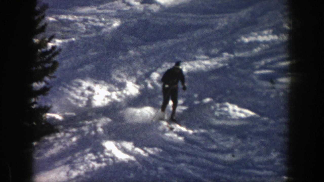 Skier seen from behind descending a bumpy snowy slope near pine trees.