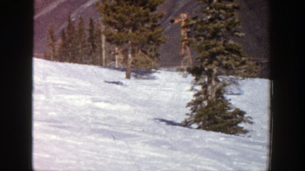 Snowy ski slope with pine trees after the skier has passed out of frame.