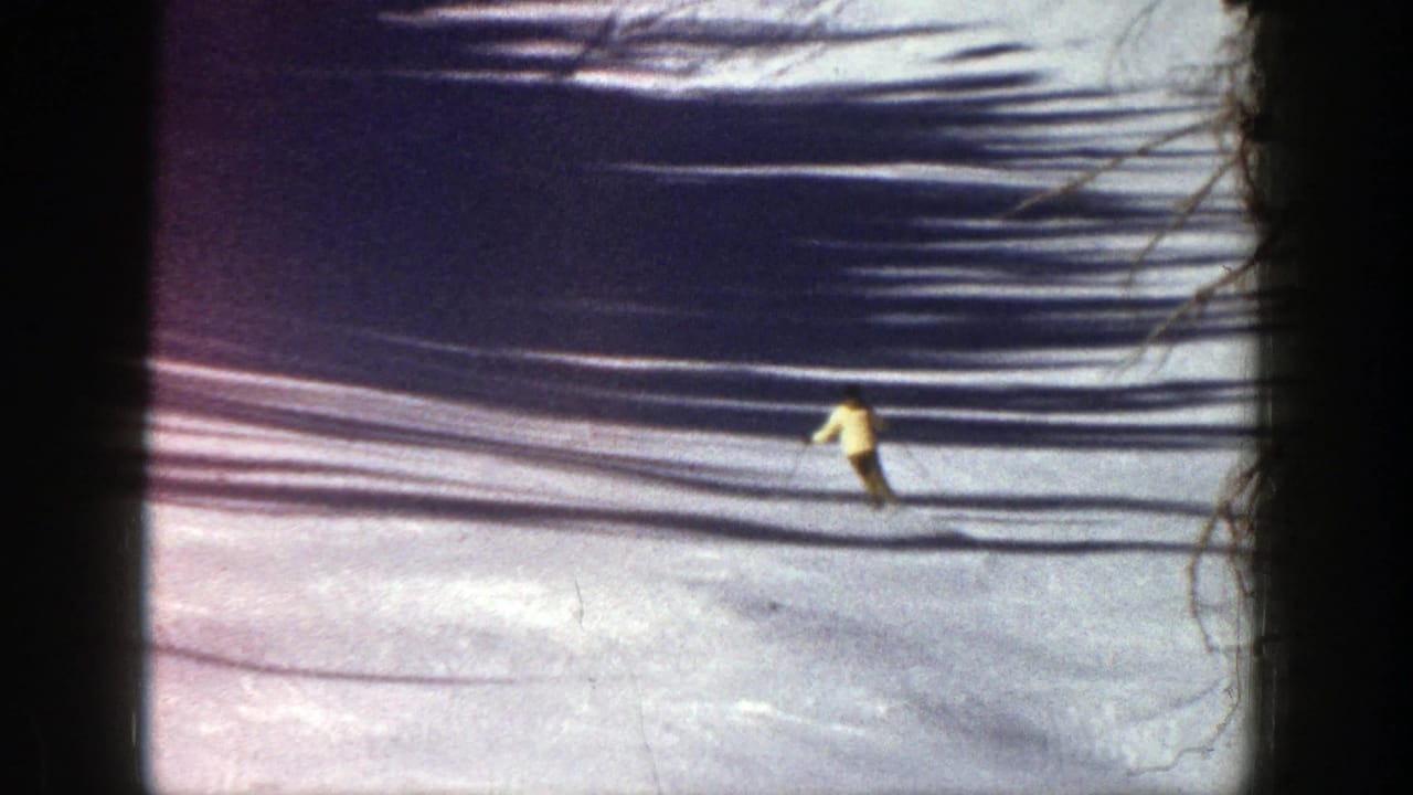 Skier in a yellow jacket descending a snowy slope near dark tree shadows.