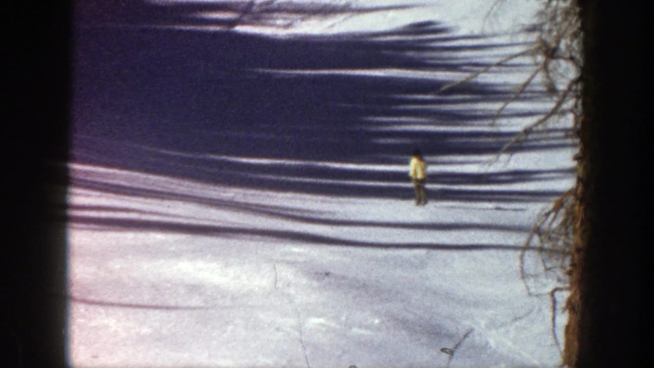 Small skier on a snowy run with long shadows crossing the slope.