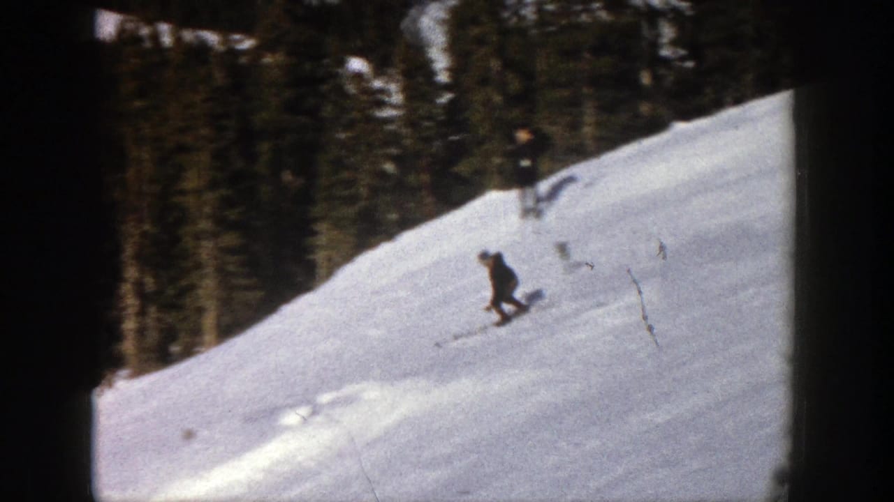 Skier leans into a turn on a snow-covered hillside bordered by trees.